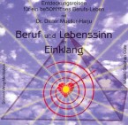 CD Cover Beruf und Lebenssinn in Einklang bringen - Dieter de Harju